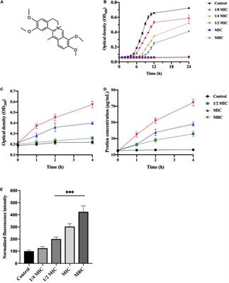 Antibacterial Activity and Multi-Targeting Mechanism of Dehydrocorydaline From Corydalis turtschaninovii Bess. Against Listeria monocytogenes